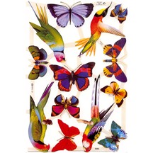 Colorful Bird & Butterfly Scraps ~ England